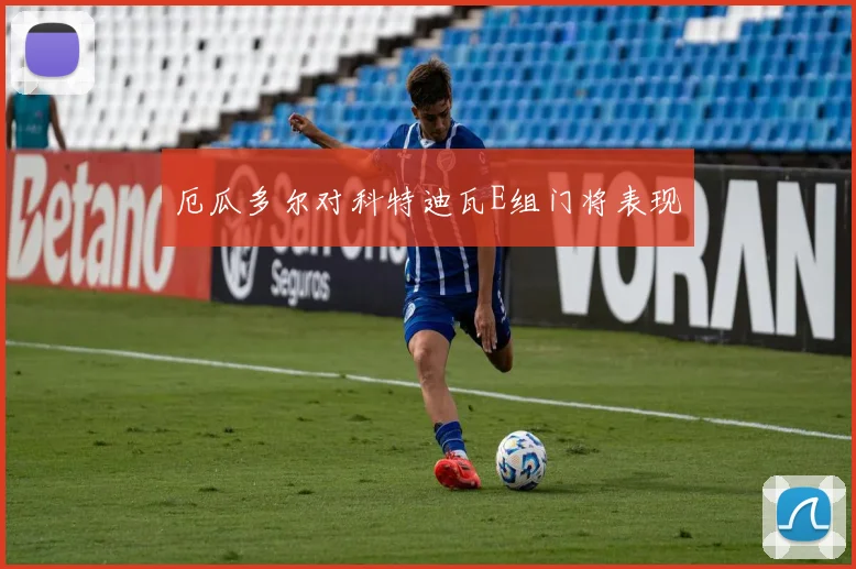 厄瓜多尔对科特迪瓦E组门将表现