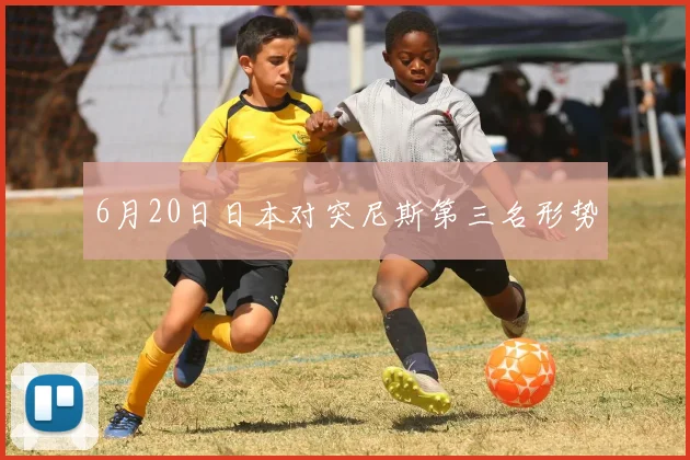 6月20日日本对突尼斯第三名形势