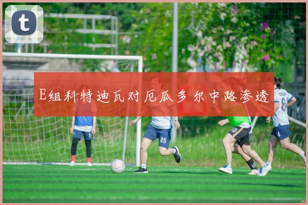 E组科特迪瓦对厄瓜多尔中路渗透